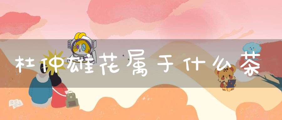 杜仲雄花属于什么茶