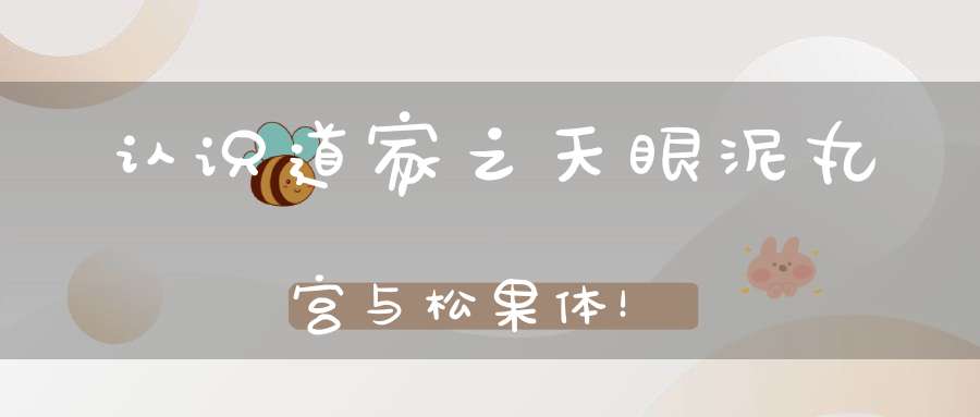 认识道家之天眼泥丸宫与松果体！