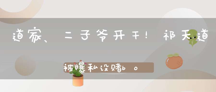 道家、二子爷开干！祁天道被曝私设赌bo平台！丁一站辛巴立场开怼二子爷！
