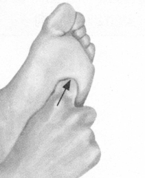 美容美体按摩